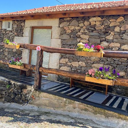 Casa Das Flores Lamego Eksteriør billede