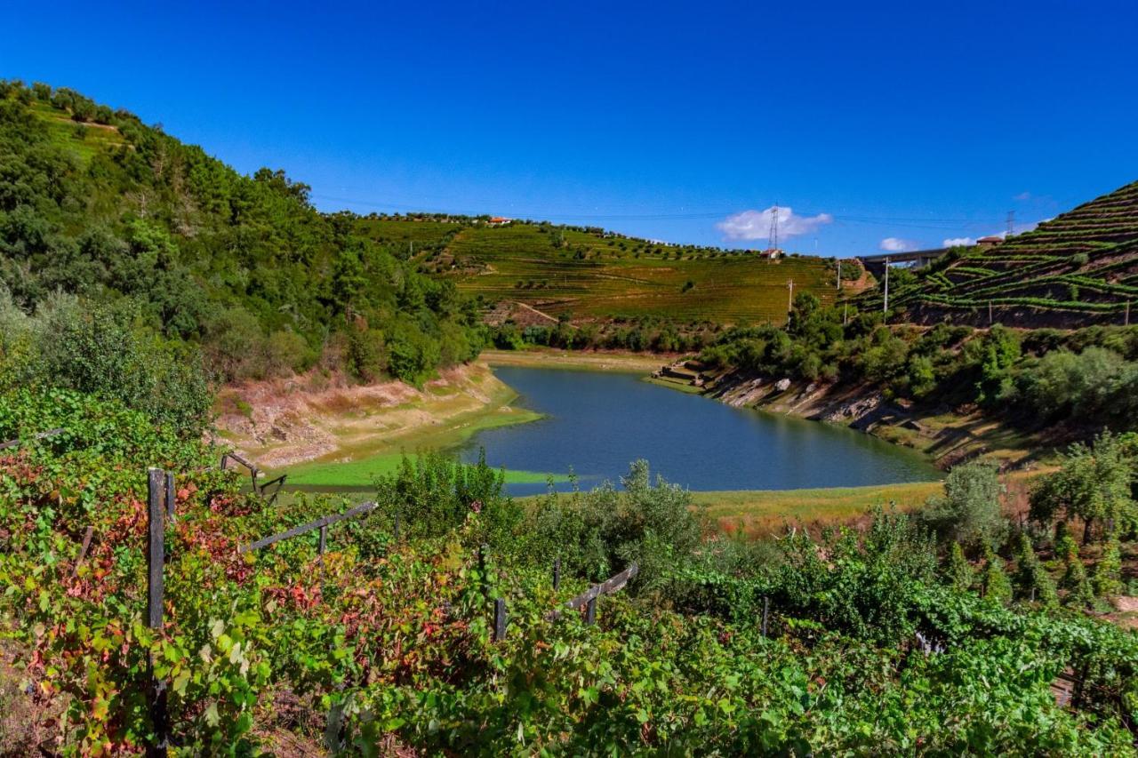 Casa Das Flores Lamego Eksteriør billede