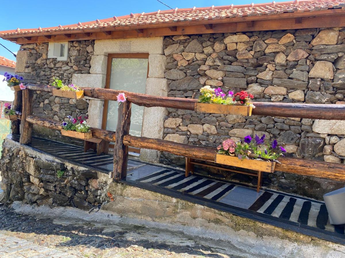 Casa Das Flores Lamego Eksteriør billede
